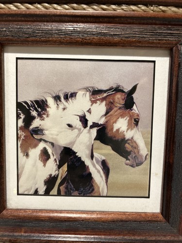 Equine Picture Of “Spittin Image” 12”X 13” Painting 2 Horses By Suanne Wamsley - Picture 2 of 5