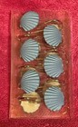 Coastal Blue Seashell Set Of 12 Shower Curtain Hooks NEW!