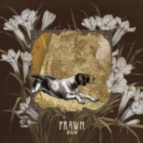 PRAWN: RUN - LP vinyl *BRAND NEW* - Picture 1 of 1