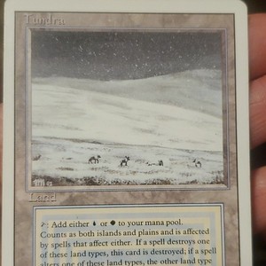 Mtg Tundra Revised | eBay