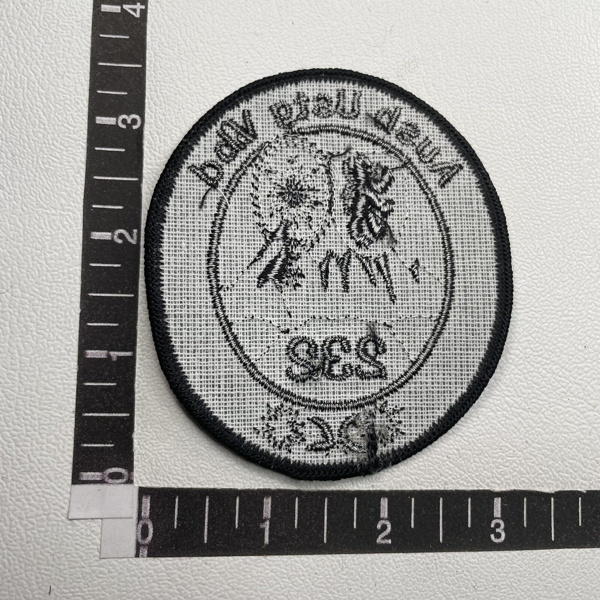 Unknown AUSB USTG VBD 232 Patch (?Maybe Germany Army, c