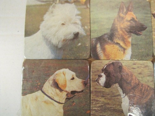 Vintage Pack of 6 Cork Back Coasters - Dog Theme Design New In Packaging - Picture 2 of 3
