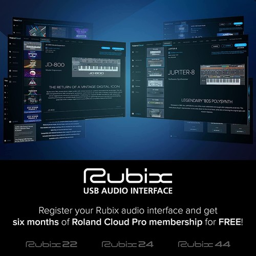 Roland USB Audio Interface Roland RUBIX-22 - Picture 4 of 5