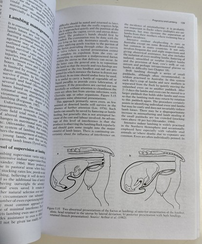 Australian Sheep and Wool Handbook - Cottle Elsevier Australia (Paperback, 1991) - Picture 6 of 11