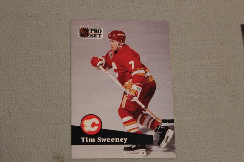 1991-92 PRO SET Hockey Cards Complete Finish Fill Your List Set U-PICK #201-400 - Picture 327 of 400