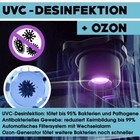 Bild 2 von 11