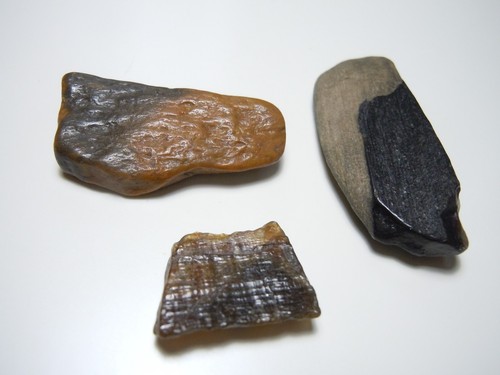 Good Wood Lot Of 3 Kansas Petrified Wood Agate Gem Fossil 51 Carats Total    - Picture 3 of 12