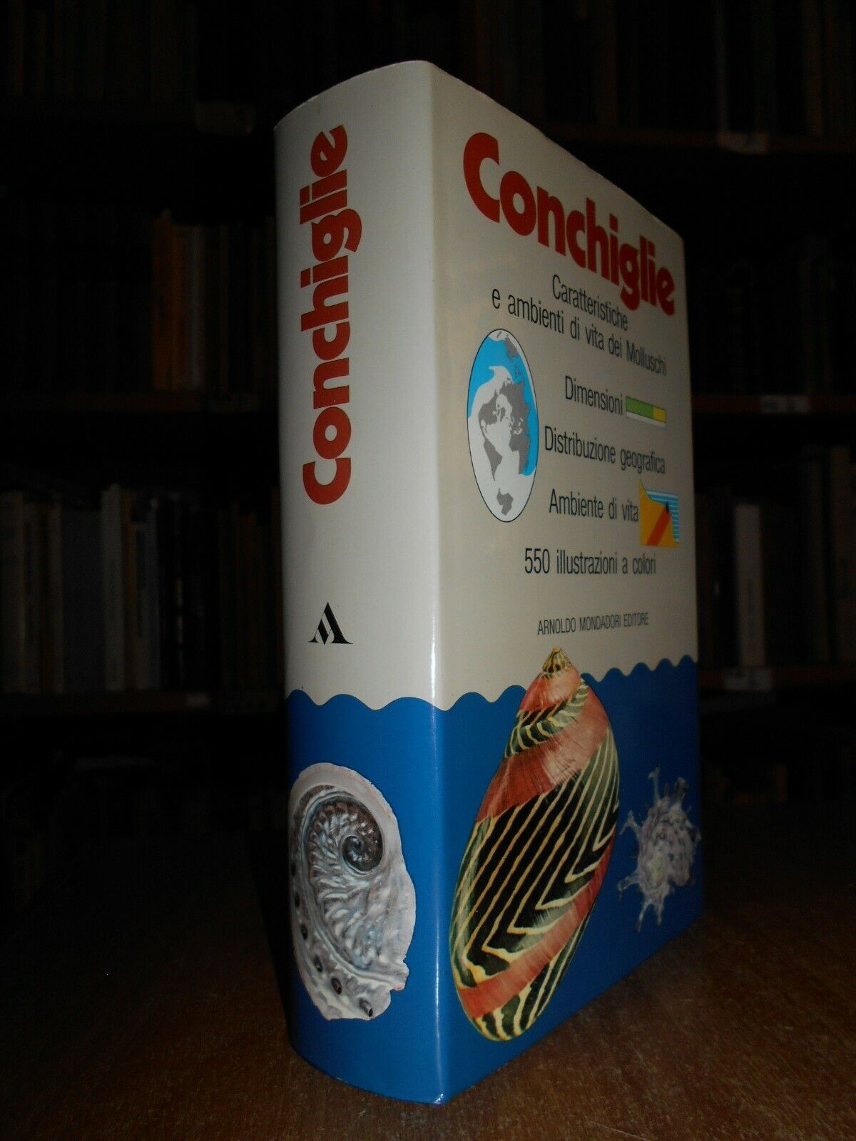 Foto 1 di 8