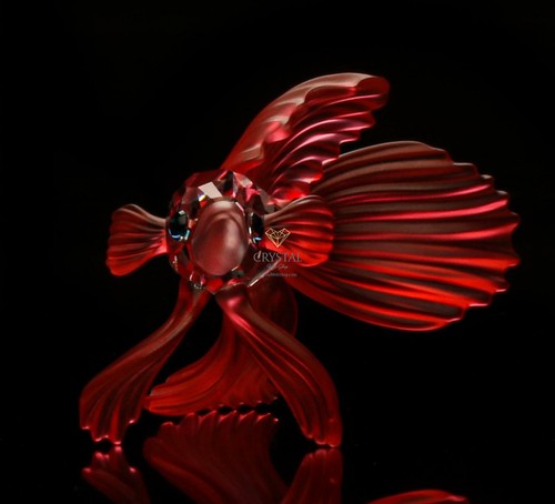 SWAROVSK Figura Siamés Fighting Fish Red 660941 - Imagen 2 de 6