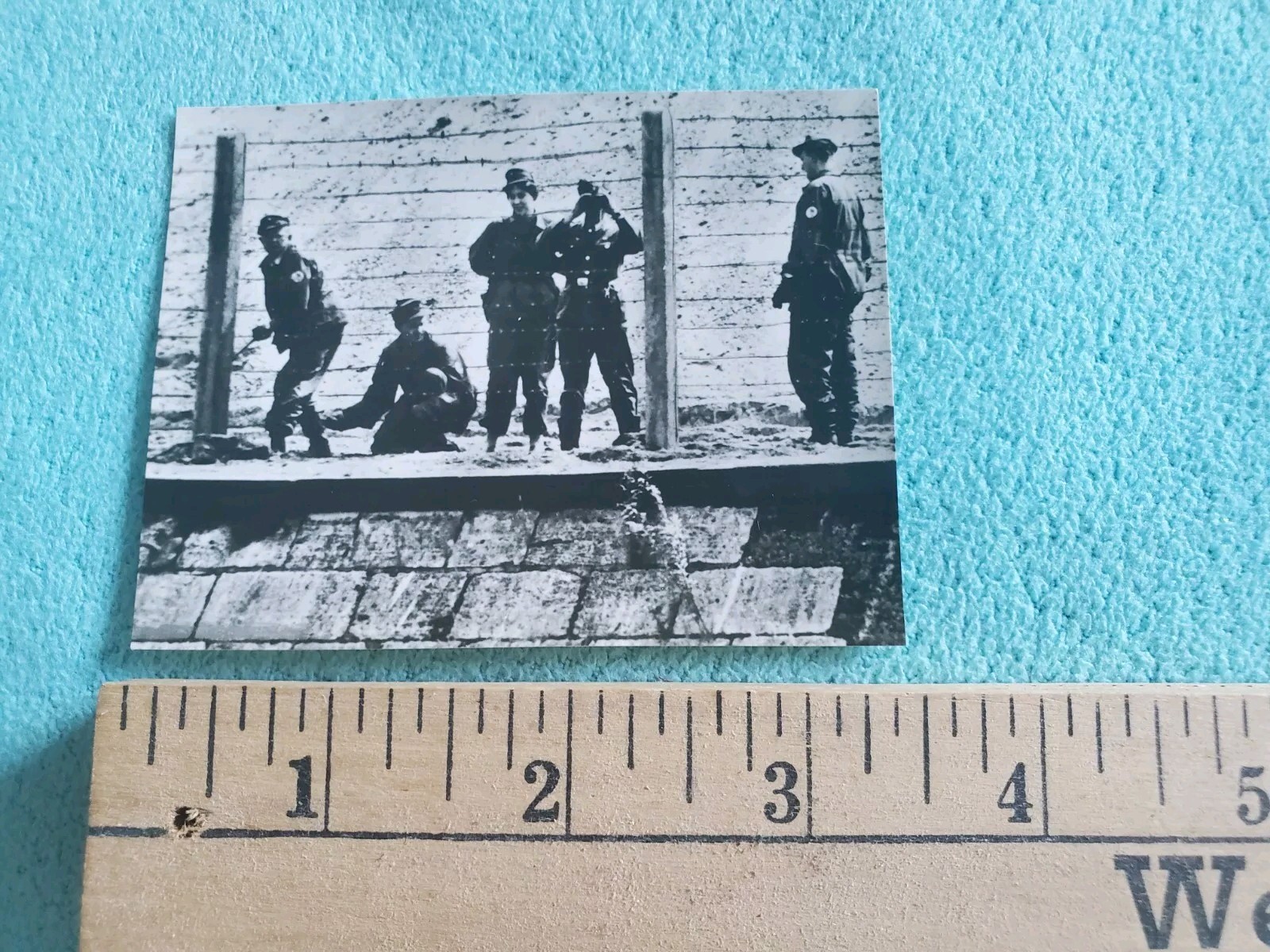Picture 11 of 14