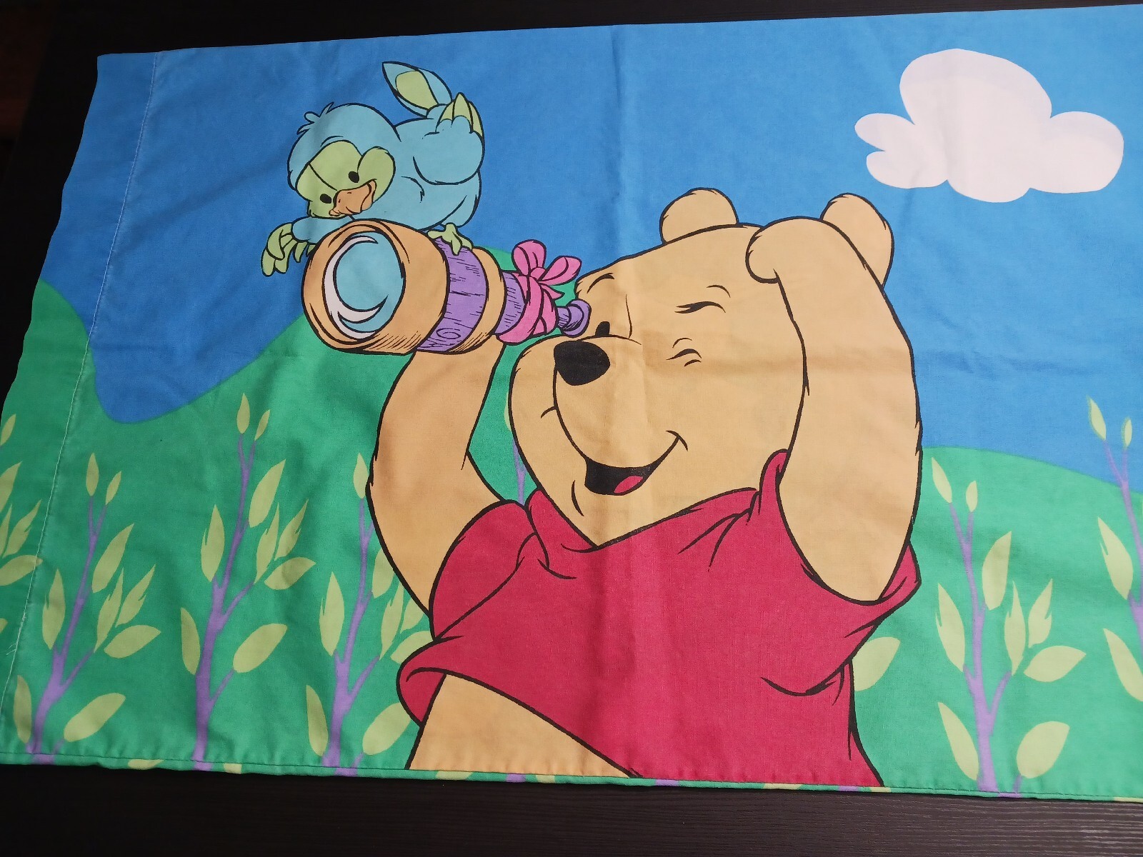 Picture 19 of 21
