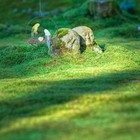  1 stück kreativer wellengipfel anhänger lebhafter dekorativer gartenpapagei