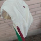 Bild 7 von 7