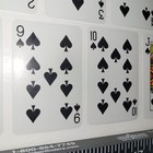 Picture 4 of 16