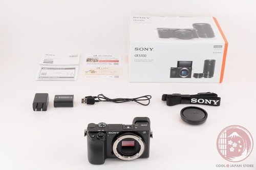 DDU [ 3938 shots TOP MINT in Box ] Sony Alpha a6100 Mirrorless Digital Ci94 - Picture 15 of 16