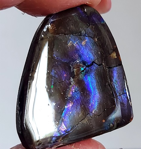 Piedra recubierta de amonita ammolita 33x29,5x4,7 mm 19105 - Imagen 2 de 5
