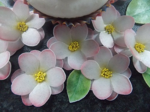 34 piece 3D Edible pink flower and leaves wafer paper cake/cupcake topper (d) - Picture 3 of 4