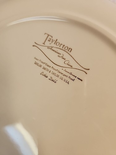 Vintage MCM Taylorton ECHO DELL 30 PCS DINNER SET SERVICE FOR 6 PLATES BOWLS + - Picture 8 of 23