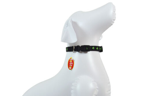bergan dog bowls