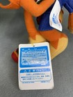 Foto 10 di 11