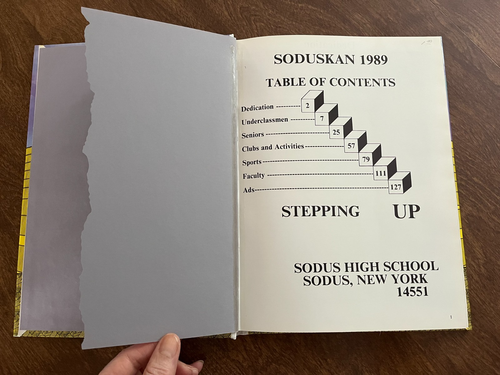 1989 Steping-Up Yearbook, Sodus High School, Sodus NY - Bild 2 von 3