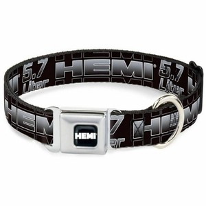 nomination dog collar