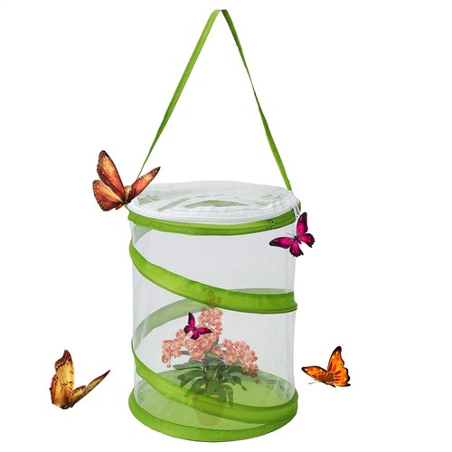 Insect Butterfly Cage Foldable Portable Transparent Surface Habitat Mesh Zipper - Picture 5 of 12