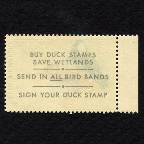 RW35 F MNH PLATE# 1968 Hooded Mergansers US Federal Duck Stamp Waterfowl - Picture 3 of 3