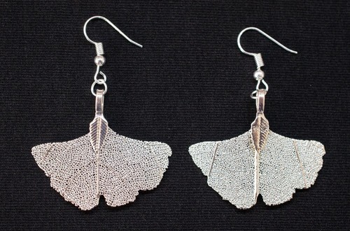 Ginko Blattskelett Sheet Earrings Miniblings Pendant Ginkgo Tree China Natural - Picture 5 of 5
