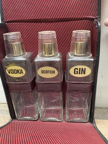 Vintage Reise Bar Etui mit Wappen und Gin, Scotch und Wodka Glasflaschen - Bild 2 von 4