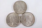 NobleSpirit Desirable 3x 1923 Silver Peace Dollar Mixed Cond. Lot to CHOICE BU