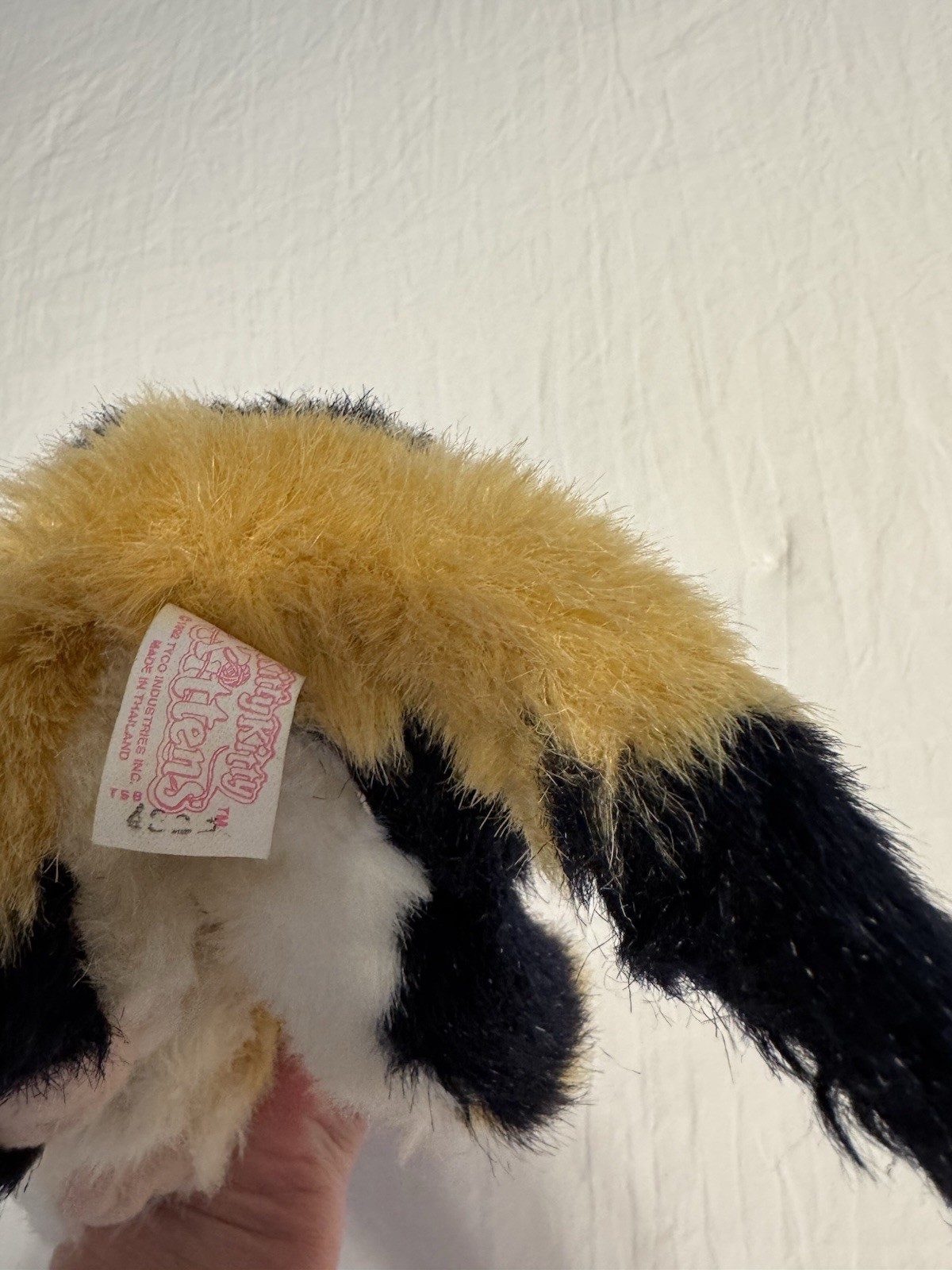 Bild 9 von 14