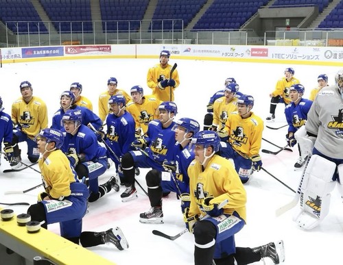 CAMISETA DE HOCKEY ACRE HL ANYANG HALLA DE LA LIGA ASIÁTICA DE COREA DEL SUR #6 - Imagen 6 de 6