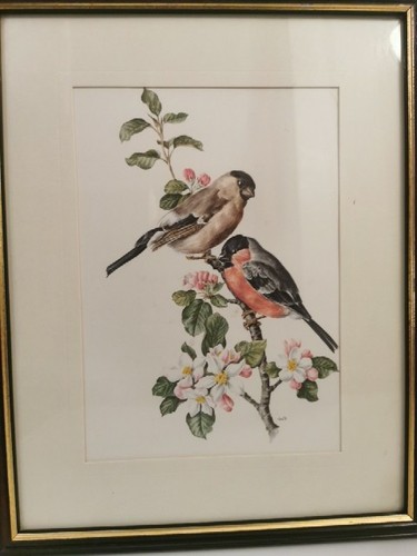 2x Anatole Marlin Bird Art Prints Signed Wood Framed Home Length 15" Width 12" - Picture 17 of 24