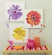 Daisies Huge Spring Daisy Flowers Yellow Orange Purple Wall Murals Decal Sticker