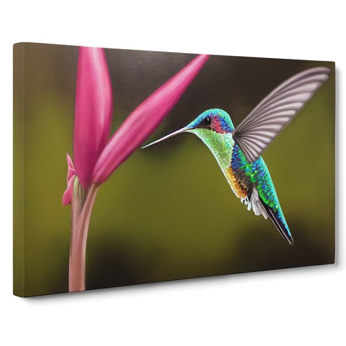 Floral Hummingbird Art Vol.5 Canvas Wall Art Print Framed Picture Home Decor - Foto 3 di 5