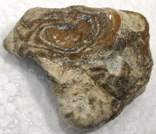 Heart Shaped Bands Jasper Agate Specimen For Lapidary Cabbing Rough Peeler - Picture 7 of 10