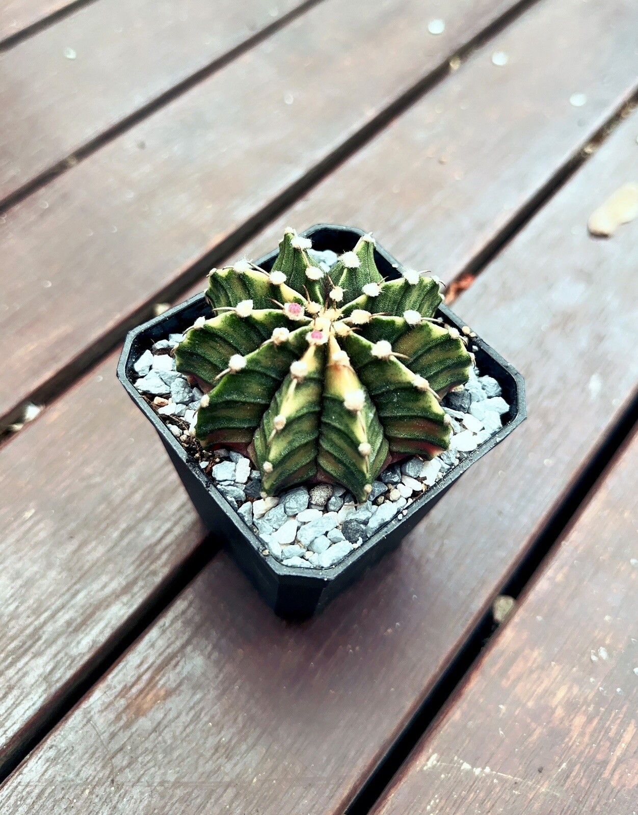 Picture 3 of 3