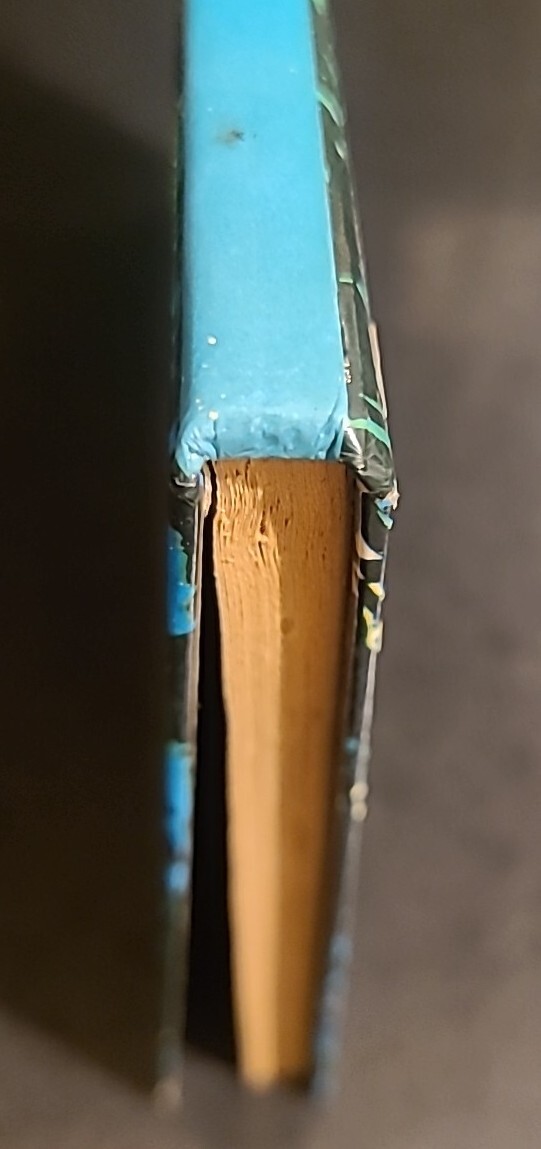 Picture 3 of 19
