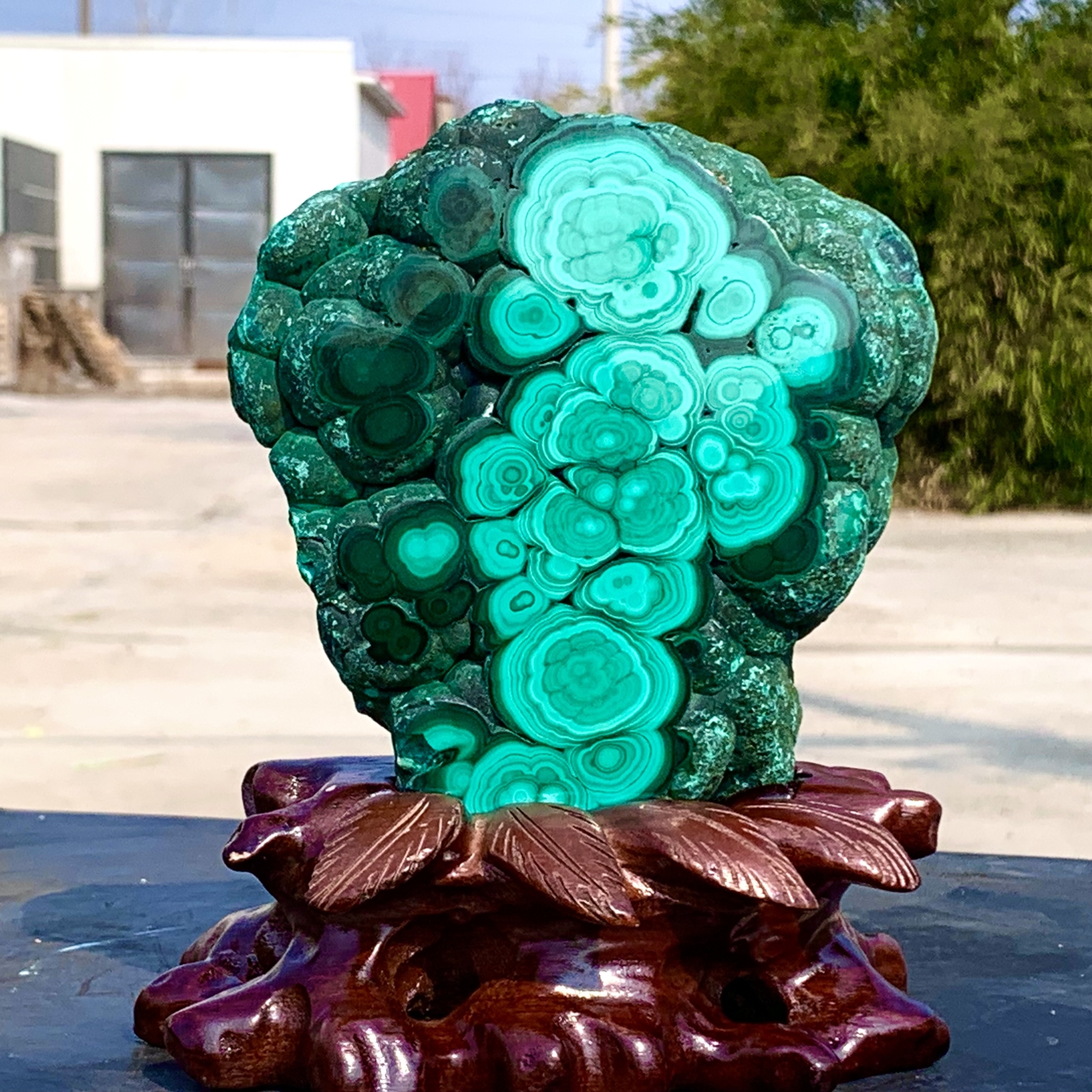 Picture 3 of 23