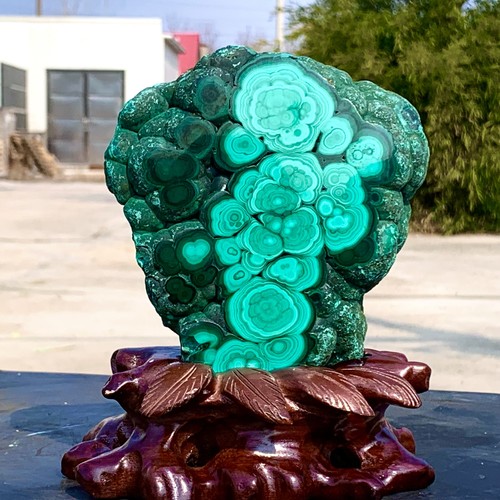 2.64LB Natural glossy Malachite transparent cluster rough mineral sample - Picture 3 of 23