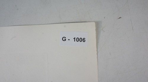 Roger Hebbelinck Original Lithographie 268/350 signiert G-1006 - Picture 7 of 7