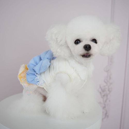 Winter gesteppt dick Hundekleid Chihuahua Schleife Welpenrock mehrere Spitzenlagen - Bild 6 von 28