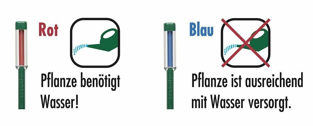 Bild 5 von 6