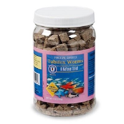 download tubifex worms fish food download tubifex worms fish food