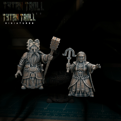 Enanos Kleriker Miniatura Set Magier para Ttrpg's Como D&d 5e Pathfinder Dsa - Video 1 von 1