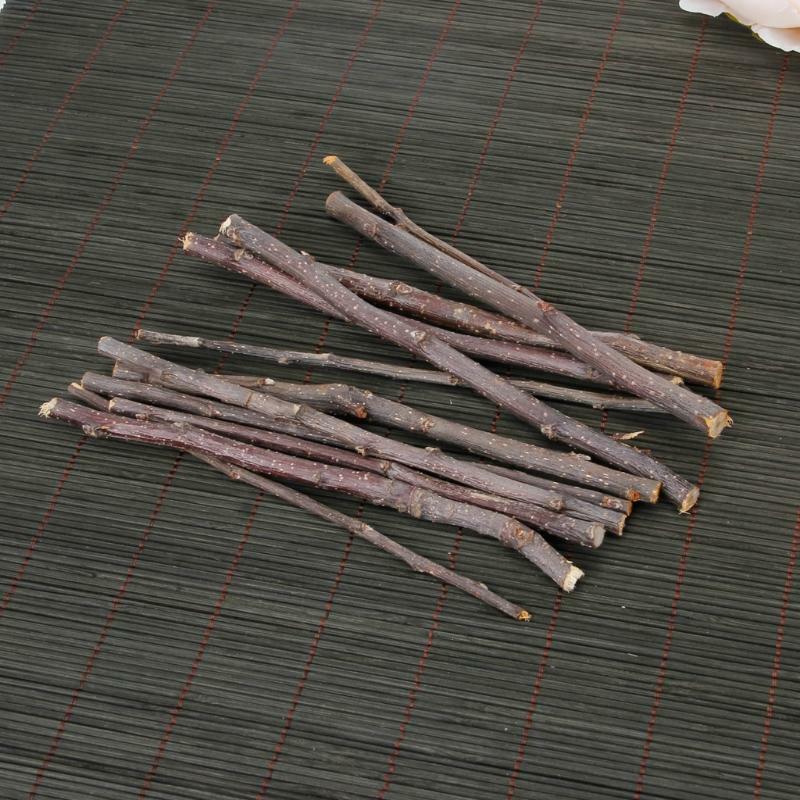 Natural Apple Tree Branch Toy for Pet Hamsters Teeth Molar Wooden Chewing Toys - Picture 3 of 7
