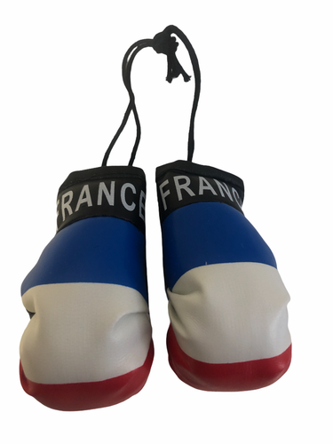 Country Flag Mini Boxing Gloves - New, One Pair, Multiple Countries Available - Picture 43 of 158