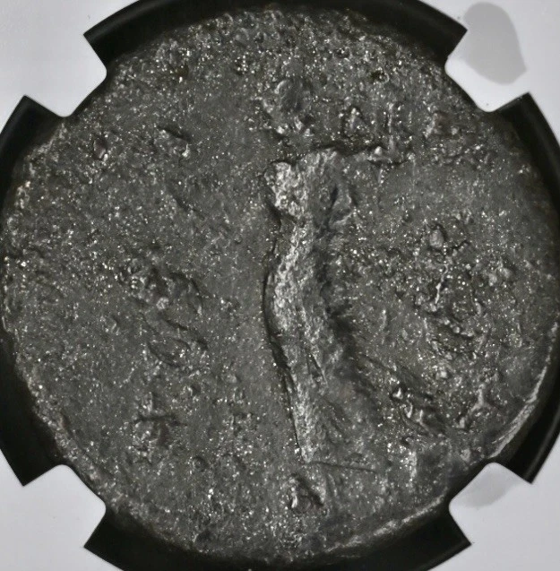 Moneda romana antigua certificada Emperador Tito 79-81 dC NGC genuina como Foto 3 de 4