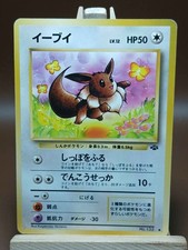 HP Pokemon Eevee No. 133 Jungle Set Japanese